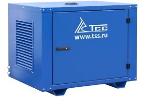 Фото 8 - Бензогенератор TSS SGG 6000EH3NA в кожухе.